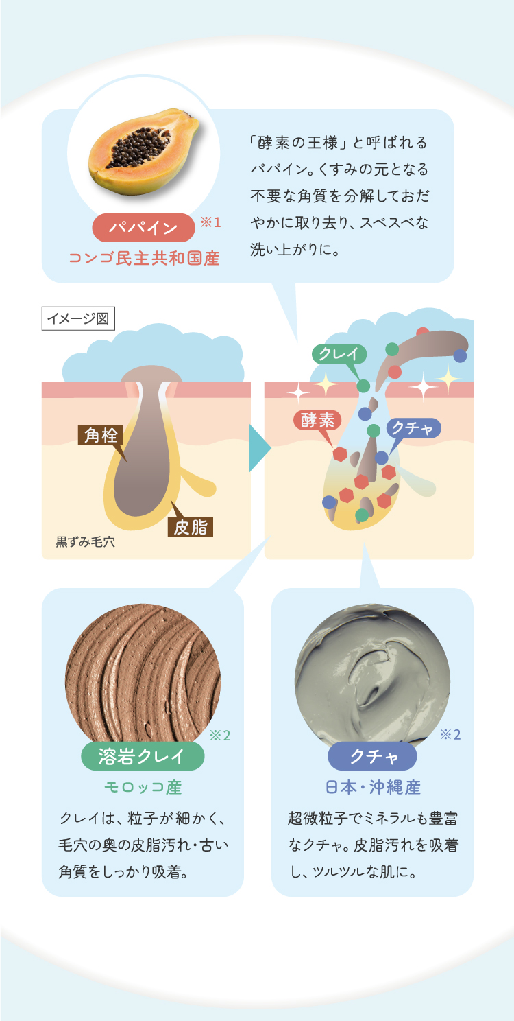 ポイント1 パパイン 不要な角質を分解して穏やかに取り去り、すべすべな洗い上がりに